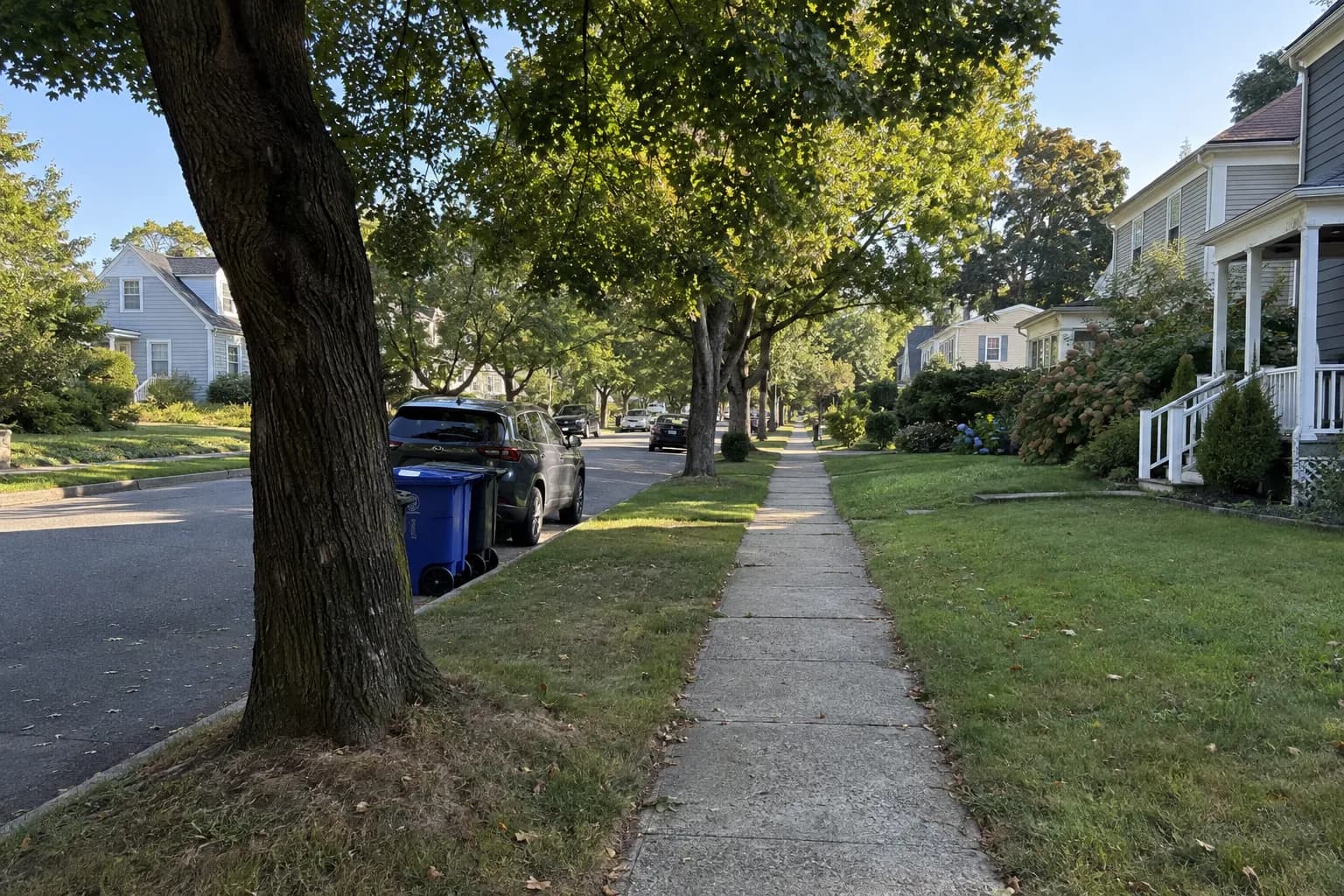 A tree-lined residential street with a sidewalk and front lawns